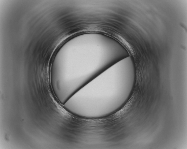 X0000098040988200804071437