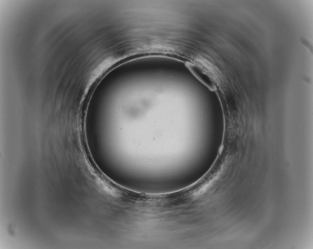 X0000098040989200804071437