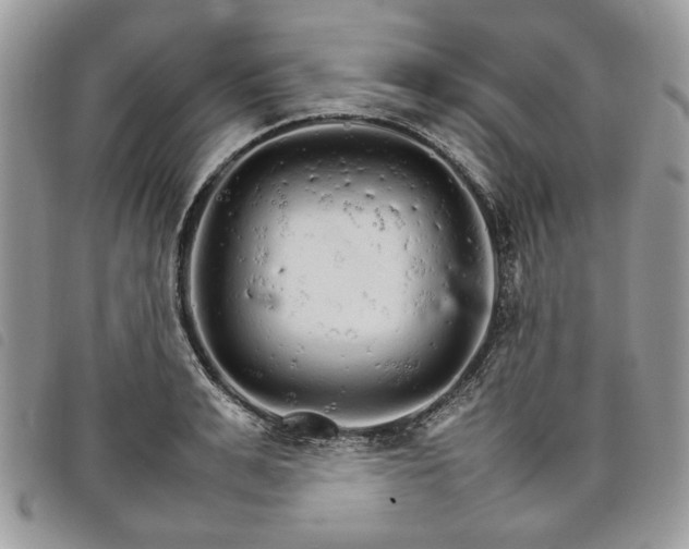 X0000098040991200804071437