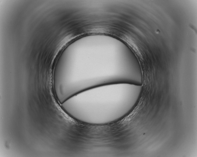 X0000098040992200804071437