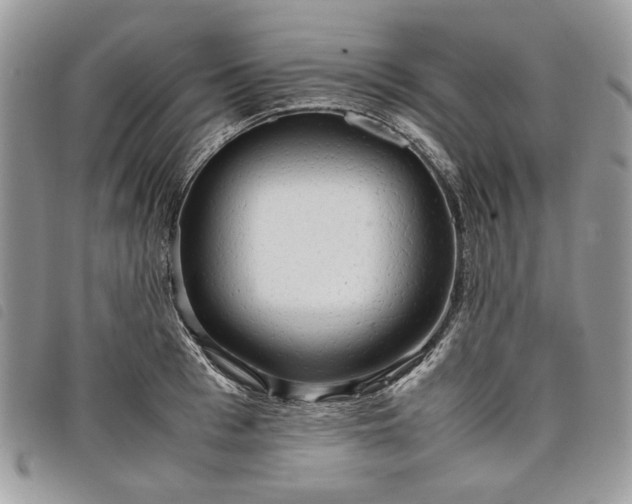 X0000098040993200804071437