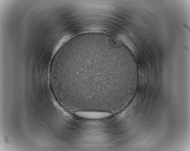 X0000098040994200804071437