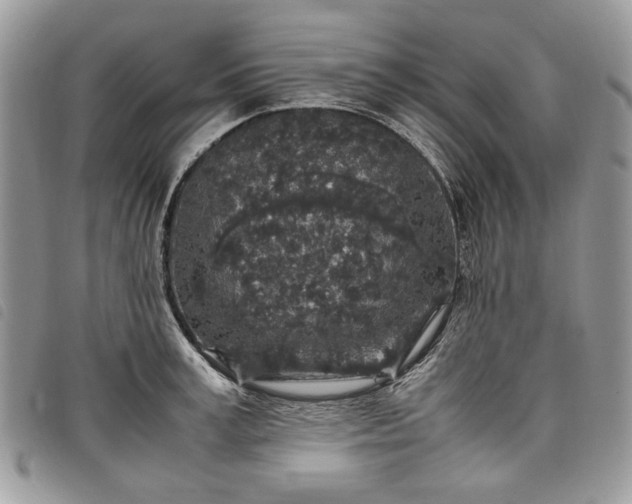 X0000098040995200804071437