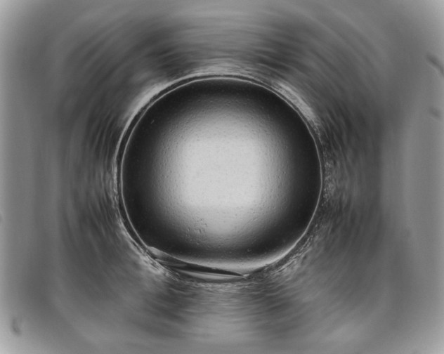 X0000098040996200804071436