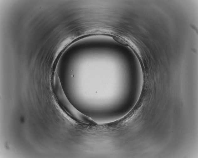 X0000098040997200804071436