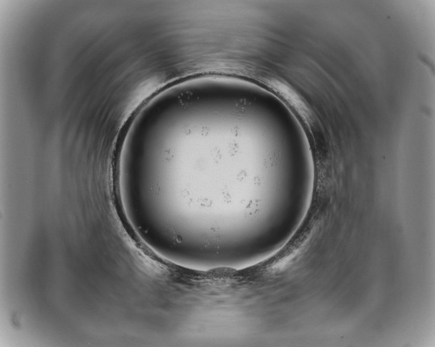 X0000098040999200804071436