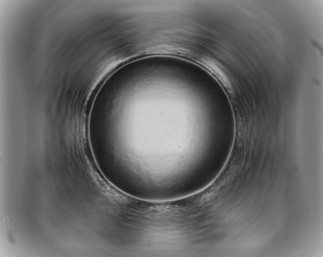 X0000098041000200804071436