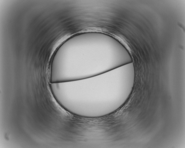 X0000098041003200804071436