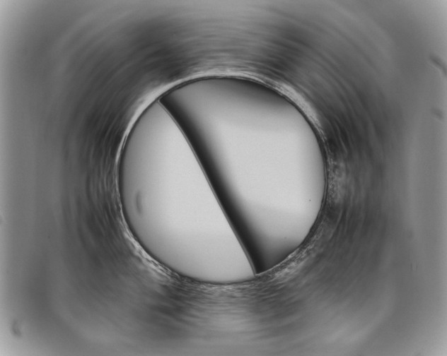 X0000098041004200804071436