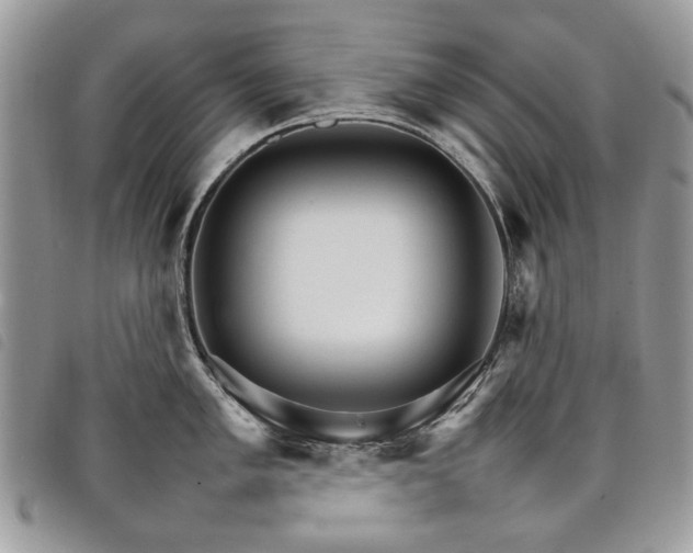 X0000098041005200804071436