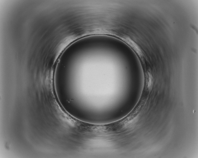 X0000098041006200804071436