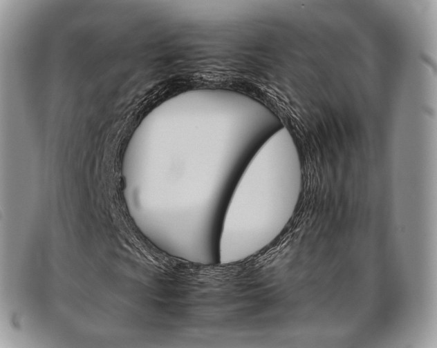 X0000098041009200804071435