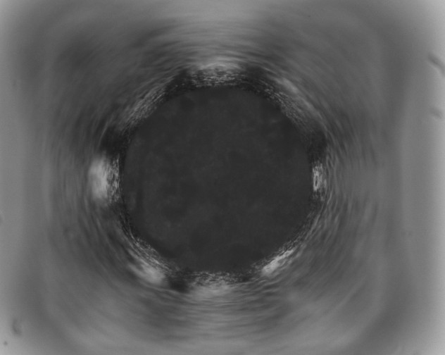 X0000098041011200804071435