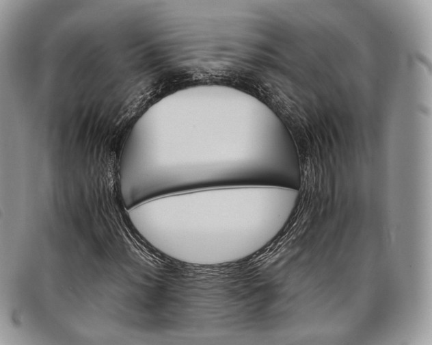 X0000098041012200804071435