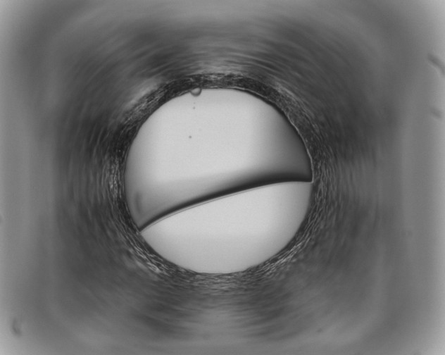 X0000098041014200804071436