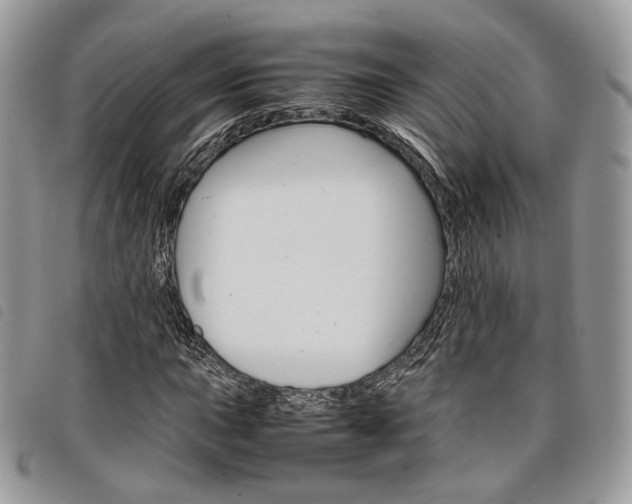 X0000098041015200804071436