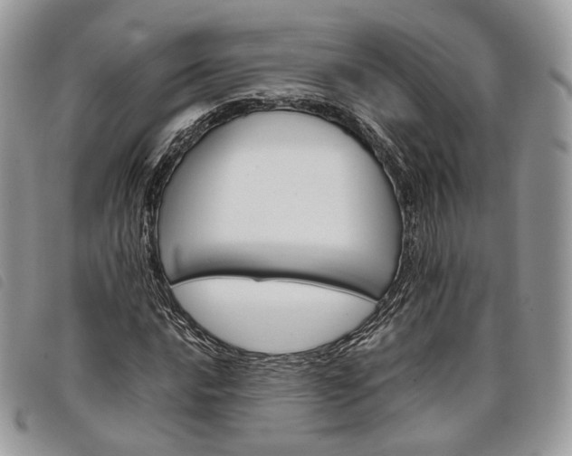 X0000098041016200804071436