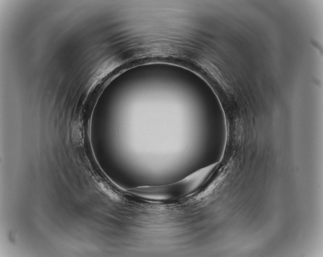 X0000098041018200804071436