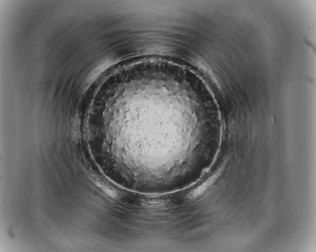 X0000098041019200804071436