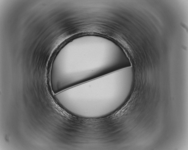 X0000098041020200804071436