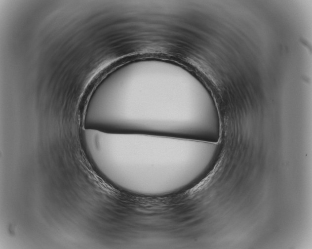 X0000098041021200804071436