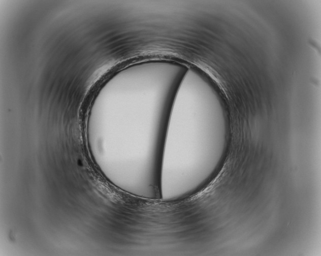 X0000098041022200804071436