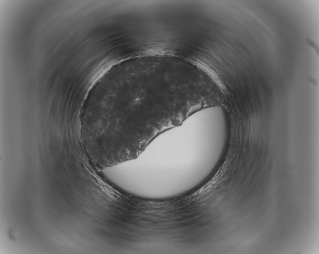 X0000098041023200804071436