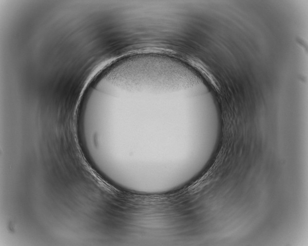 X0000098041024200804071436
