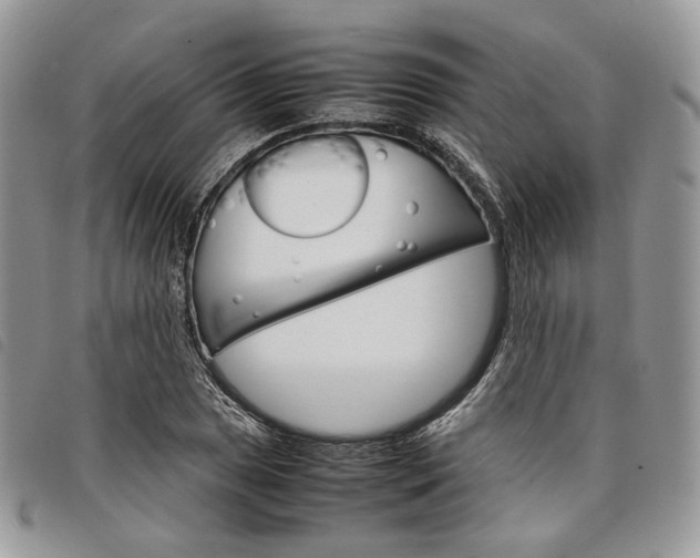 X0000098041025200804071436