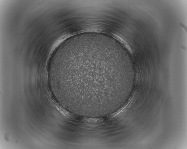 X0000098041027200804071436