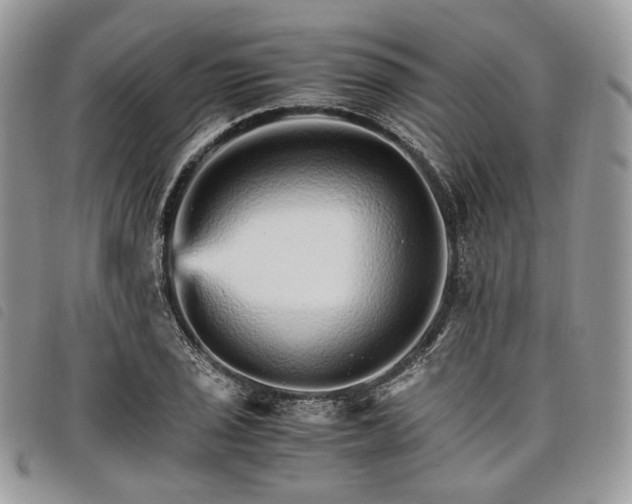 X0000098041029200804071436