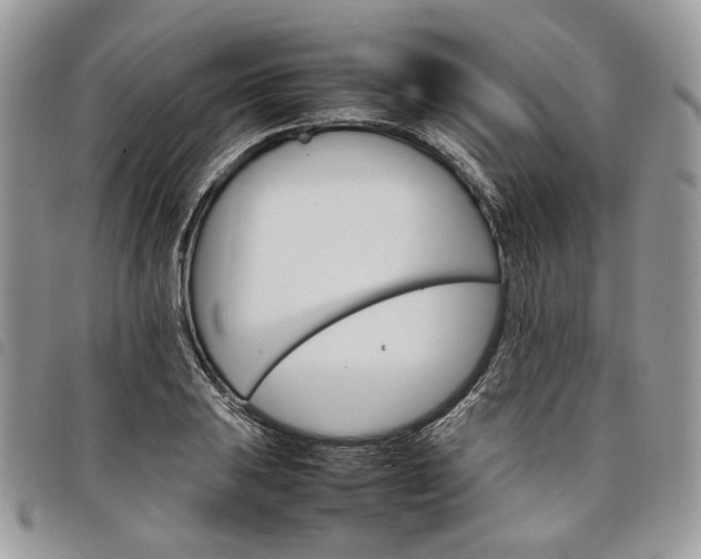 X0000098041031200804071436