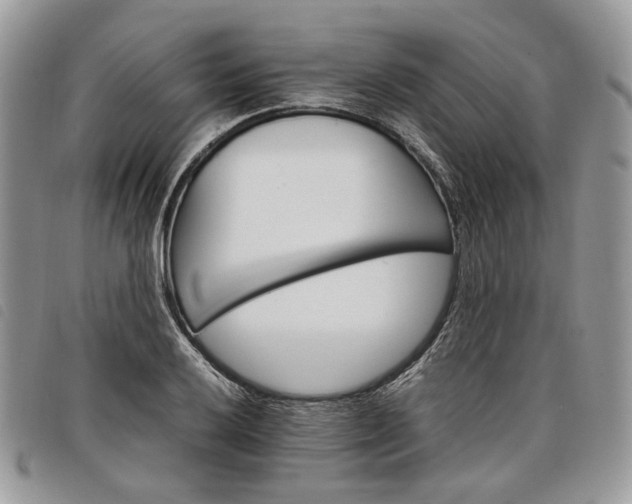 X0000098041032200804071436