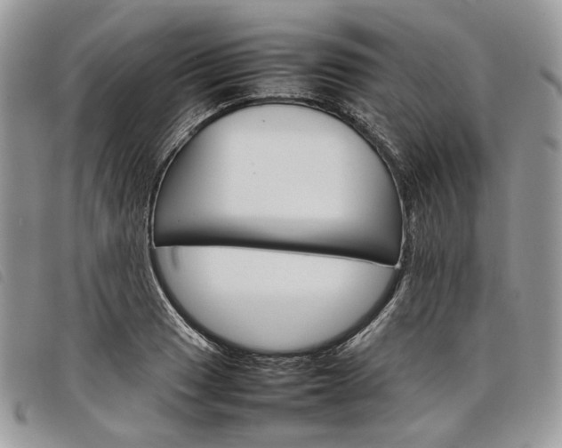 X0000098041033200804071436