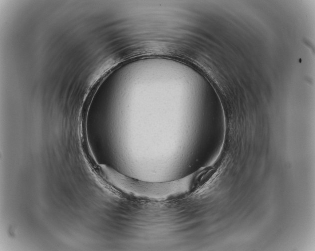 X0000098041034200804071436