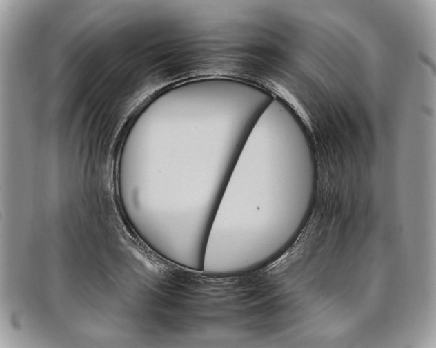 X0000098041035200804071436
