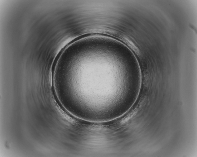 X0000098041036200804071436