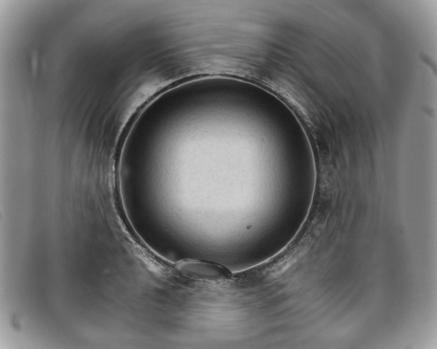 X0000098041040200804071436