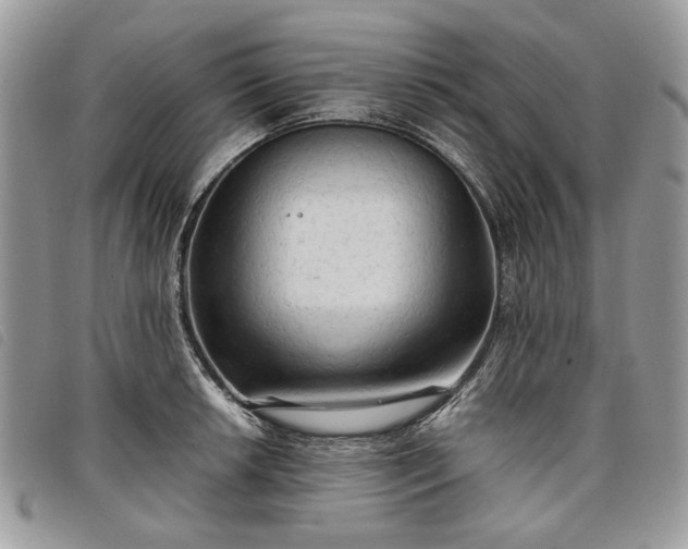 X0000098041042200804071436