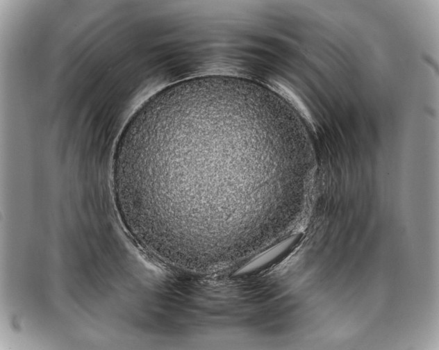 X0000098041043200804071436