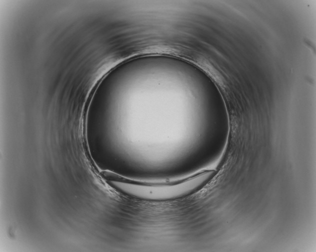 X0000098041044200804071436
