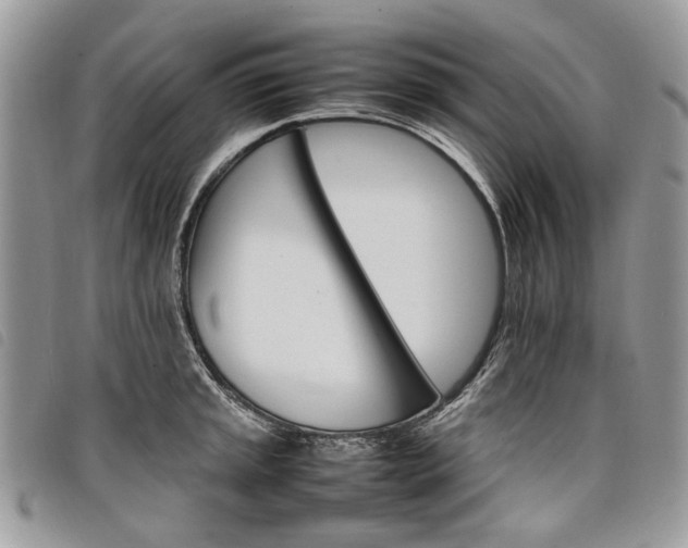 X0000098041045200804071436