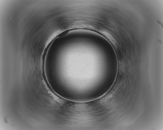 X0000098041046200804071436