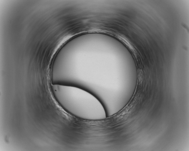 X0000098041048200804071436