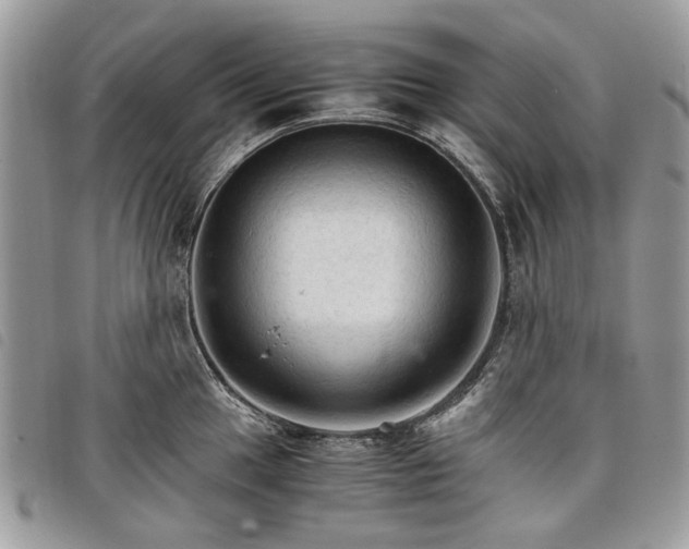 X0000098041049200804071436