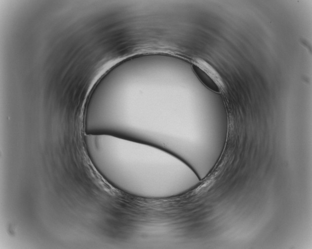 X0000098041052200804071436