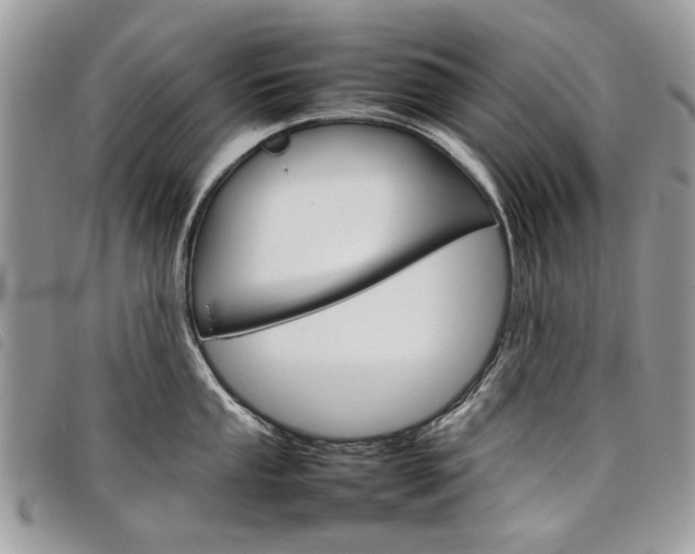 X0000098041053200804071436