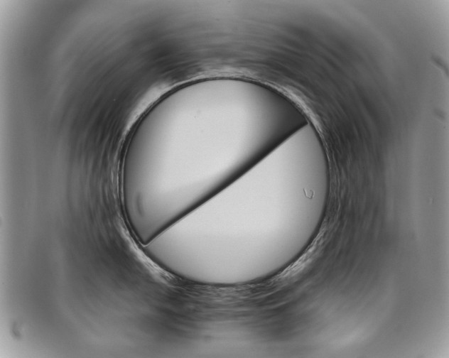 X0000098041054200804071436