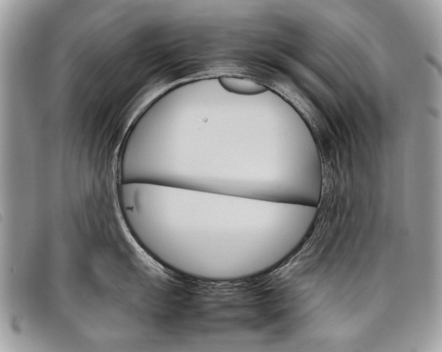 X0000098041055200804071436