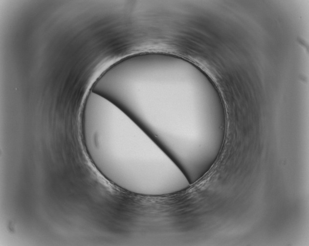 X0000098041056200804071436